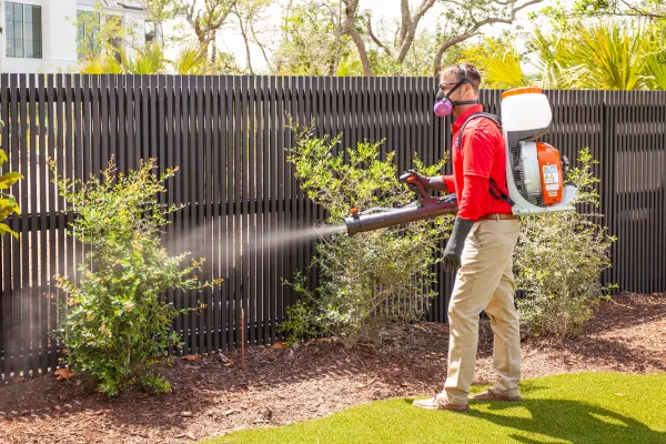 Spray Your Yard for Mosquitoe