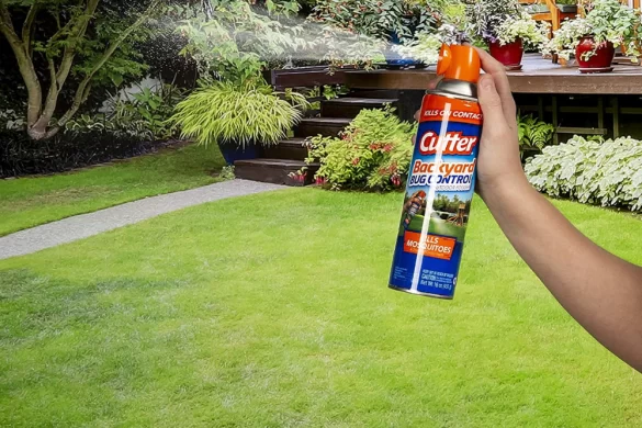 Spray Your Yard for Mosquitoe