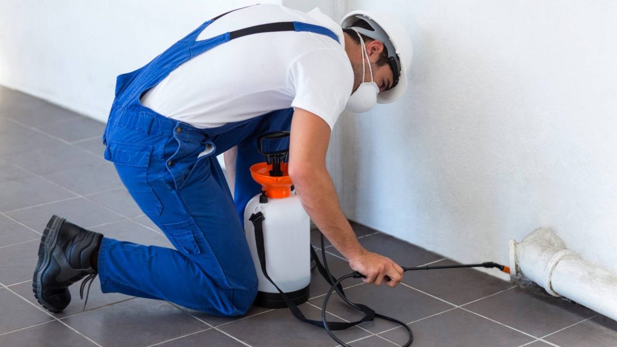 Confirm these 8 Qualities before finalizing a pest controller in Elgin