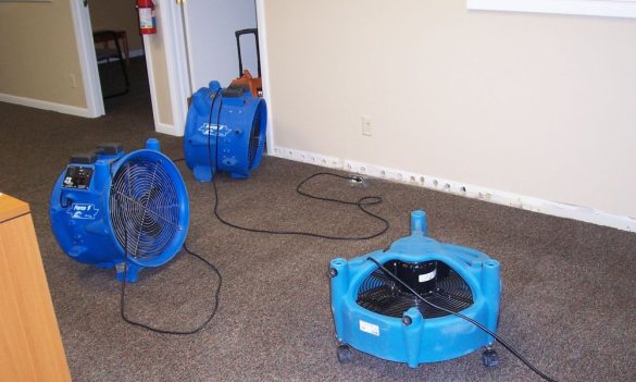 water damage company,