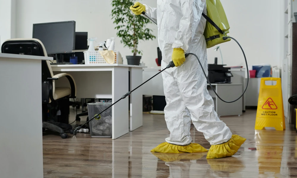 What a Pest Control Service Does That DIY Can’t