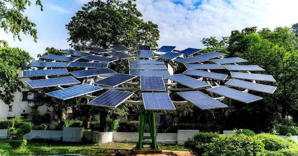 Solar Energy World’s veritree Partnership: How Every Installation Plants 5 Trees